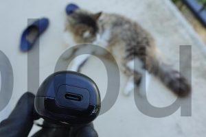 Kit 2 Tondeuses Chiens chat FuzzyFix usb-c