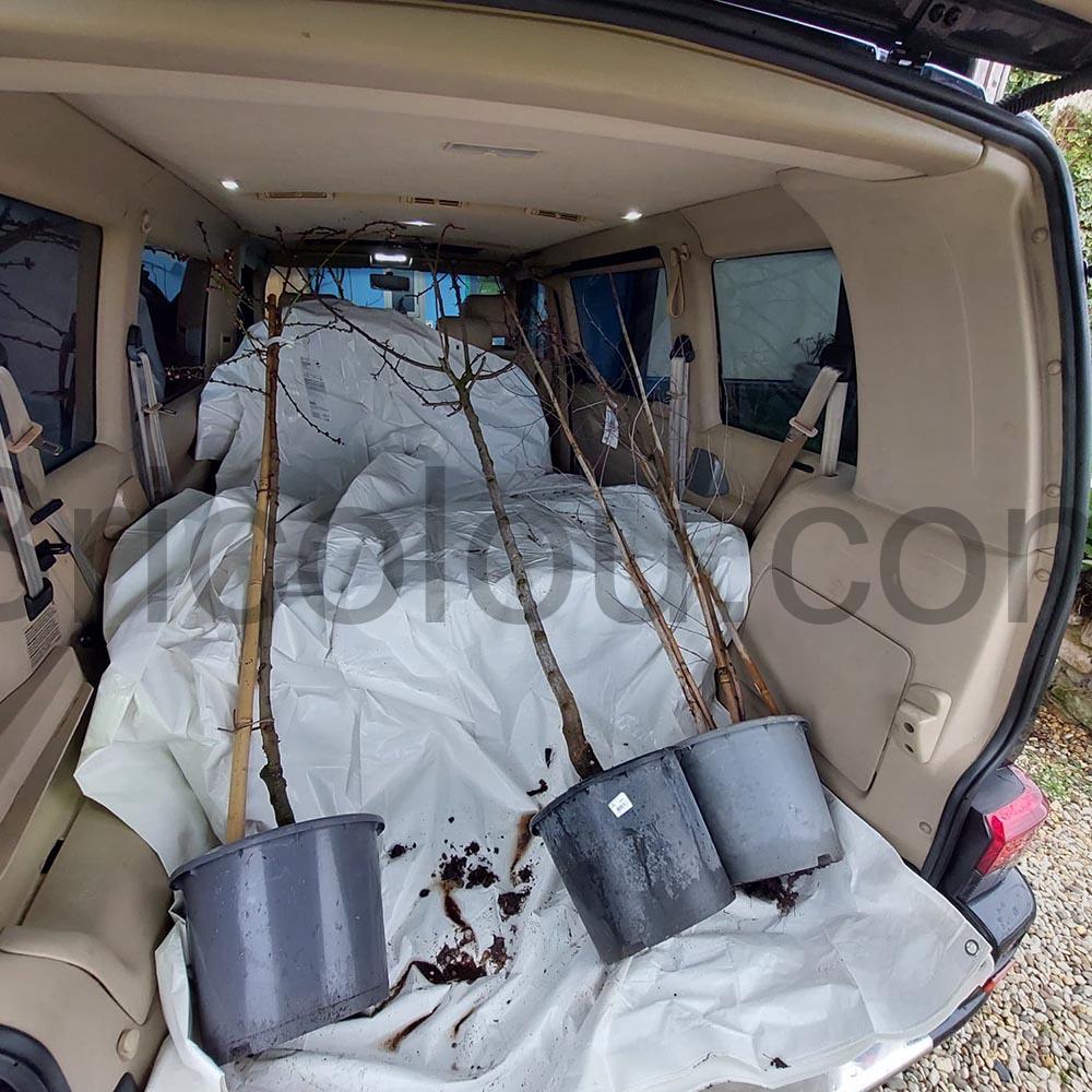 Bache de protection impermeable de 36 x 49 m 100 g blanche SUMORISE coffre Bâche de protection imperméable de 3,6 x 4,9 m, 100 g blanche SUMORISE coffre